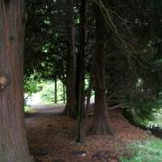 02.10.2005 17-39-16_0030 